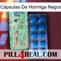 Cápsulas De Hormiga Negra new02